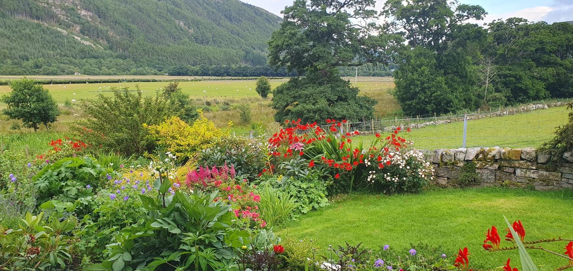 Clachan Farmhouse B & B 阿勒浦 外观 照片